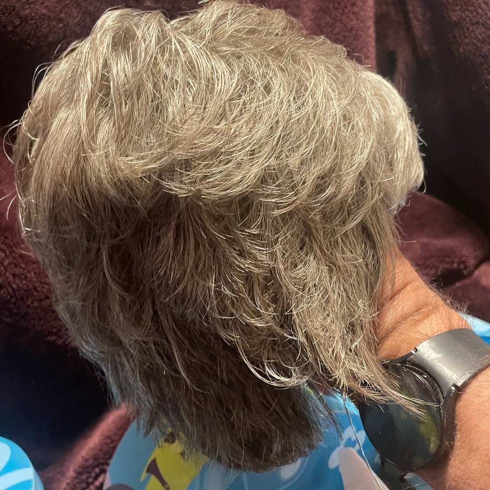 Stylish Gray or Hazelnut   Wig